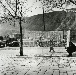 Kotor