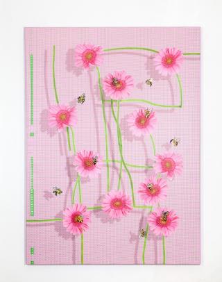 Anarchy in the Hive Mind